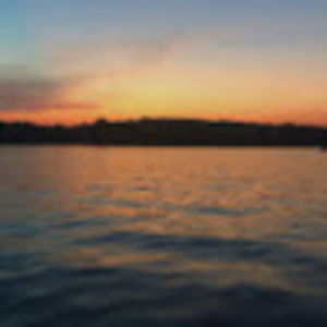 Meet your Posher, Audrey